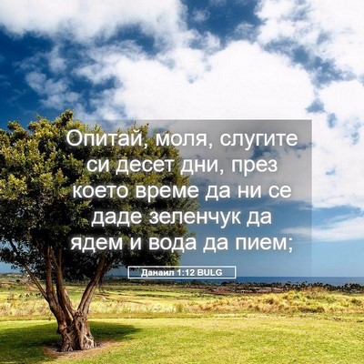 Picture 05 - Данаил 1:12 BULG - Опитай, моля, слугите си - Bible Verse Picture