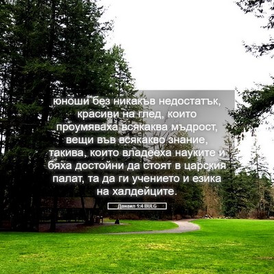 Picture 05 - Данаил 1:4 BULG - юноши без никакъв - Bible Verse Picture