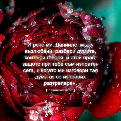 Picture 05 - Данаил 10:11 BULG - И рече ми: Данииле, мъжу - Bible Verse Picture
