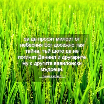 Picture 05 - Данаил 2:18 BULG - за да просят милост от - Bible Verse Picture