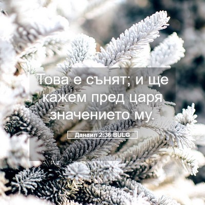 Picture 05 - Данаил 2:36 BULG - Това е сънят; и ще кажем - Bible Verse Picture