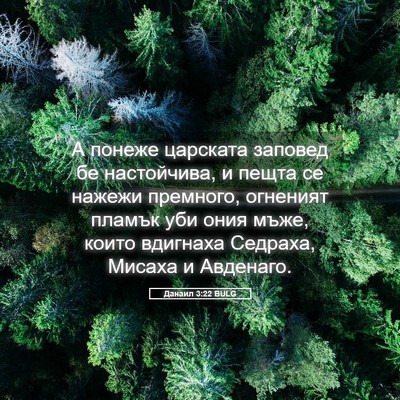 Picture 05 - Данаил 3:22 BULG - А понеже царската заповед - Bible Verse Picture