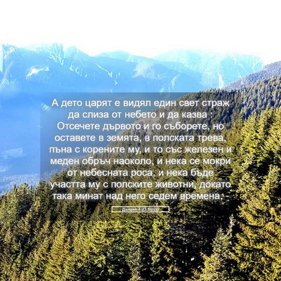 Picture 05 - Данаил 4:23 BULG - А дето царят е видял един - Bible Verse Picture