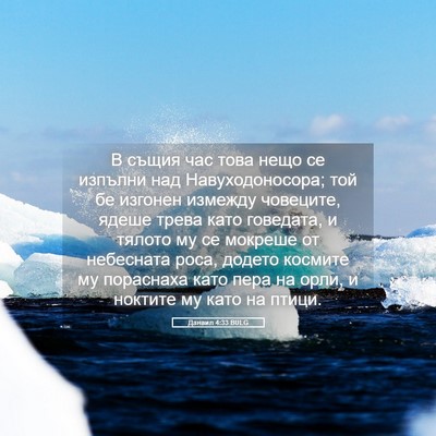 Picture 05 - Данаил 4:33 BULG - В същия час това нещо се - Bible Verse Picture