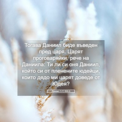 Picture 05 - Данаил 5:13 BULG - Тогава Даниил биде въведен - Bible Verse Picture