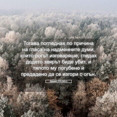Picture 05 - Данаил 7:11 BULG - Тогава погледнах по - Bible Verse Picture