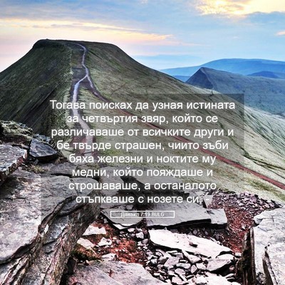 Picture 05 - Данаил 7:19 BULG - Тогава поисках да узная - Bible Verse Picture