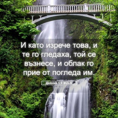 Picture 05 - Деяния 1:9 BULG - И като изрече това, и те го - Bible Verse Picture