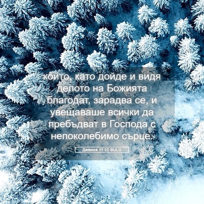 Picture 05 - Деяния 11:23 BULG - който, като дойде и видя - Bible Verse Picture