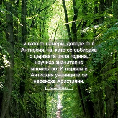 Picture 05 - Деяния 11:26 BULG - и като го намери, доведе го - Bible Verse Picture