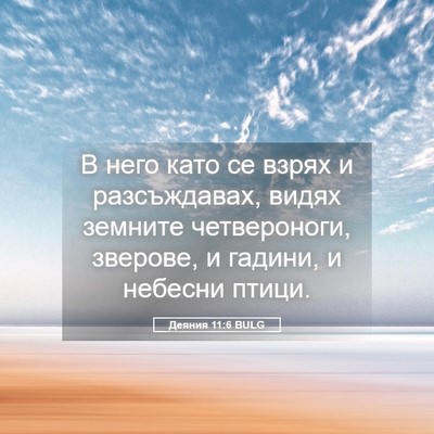 Picture 05 - Деяния 11:6 BULG - В него като се взрях и - Bible Verse Picture