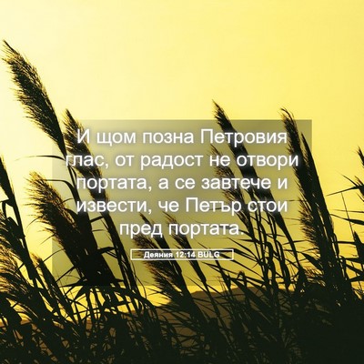 Picture 05 - Деяния 12:14 BULG - И щом позна Петровия глас, - Bible Verse Picture