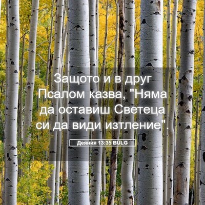 Picture 05 - Деяния 13:35 BULG - Защото и в друг Псалом - Bible Verse Picture