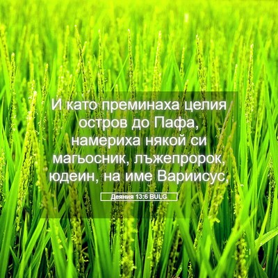 Picture 05 - Деяния 13:6 BULG - И като преминаха целия - Bible Verse Picture