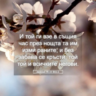 Picture 05 - Деяния 16:33 BULG - И той ги взе в същия час - Bible Verse Picture