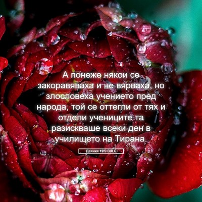Picture 05 - Деяния 19:9 BULG - А понеже някои се - Bible Verse Picture