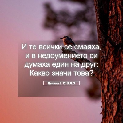 Picture 05 - Деяния 2:12 BULG - И те всички се смаяха, и в - Bible Verse Picture