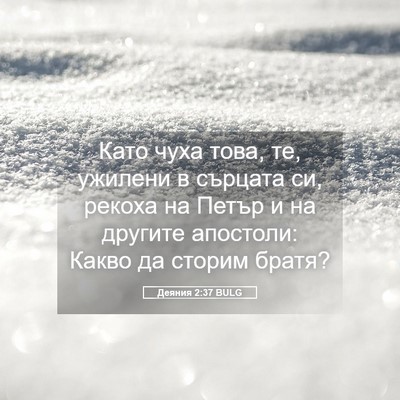 Picture 05 - Деяния 2:37 BULG - Като чуха това, те, ужилени - Bible Verse Picture