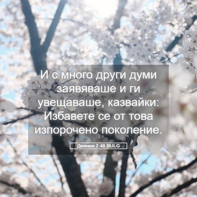 Picture 05 - Деяния 2:40 BULG - И с много други думи - Bible Verse Picture