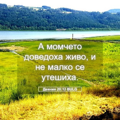 Picture 05 - Деяния 20:12 BULG - А момчето доведоха живо, и - Bible Verse Picture