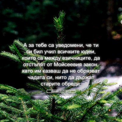 Picture 05 - Деяния 21:21 BULG - А за тебе са уведомени, че - Bible Verse Picture