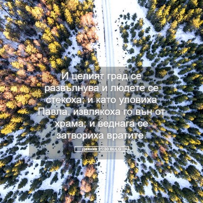 Picture 05 - Деяния 21:30 BULG - И целият град се - Bible Verse Picture