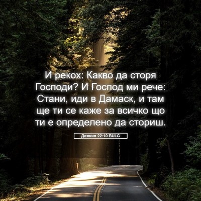 Picture 05 - Деяния 22:10 BULG - И рекох: Какво да сторя - Bible Verse Picture