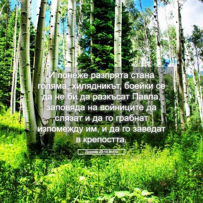 Picture 05 - Деяния 23:10 BULG - И понеже разпрята стана - Bible Verse Picture