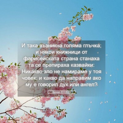 Picture 05 - Деяния 23:9 BULG - И така възникна голяма - Bible Verse Picture