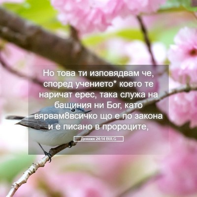 Picture 05 - Деяния 24:14 BULG - Но това ти изповядвам че, - Bible Verse Picture