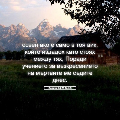 Picture 05 - Деяния 24:21 BULG - освен ако е само в тоя вик, - Bible Verse Picture