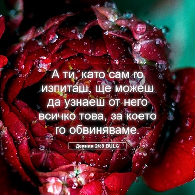 Picture 05 - Деяния 24:8 BULG - А ти, като сам го изпиташ, - Bible Verse Picture