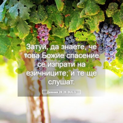 Picture 05 - Деяния 28:28 BULG - Затуй, да знаете, че това - Bible Verse Picture