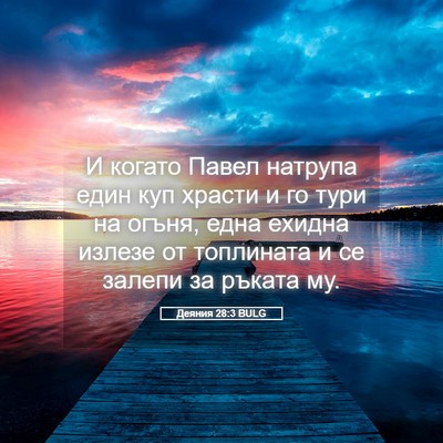 Picture 05 - Деяния 28:3 BULG - И когато Павел натрупа - Bible Verse Picture