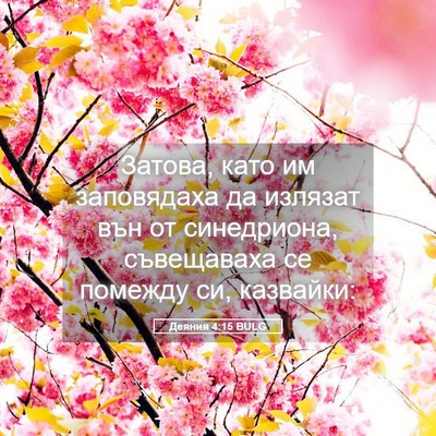 Picture 05 - Деяния 4:15 BULG - Затова, като им заповядаха - Bible Verse Picture