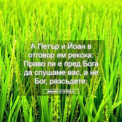 Picture 05 - Деяния 4:19 BULG - А Петър и Йоан в отговор им - Bible Verse Picture