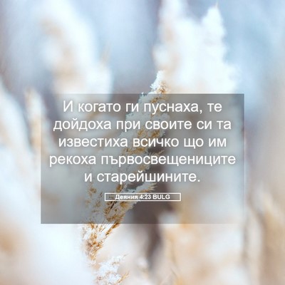 Picture 05 - Деяния 4:23 BULG - И когато ги пуснаха, те - Bible Verse Picture
