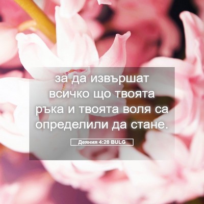 Picture 05 - Деяния 4:28 BULG - за да извършат всичко що - Bible Verse Picture