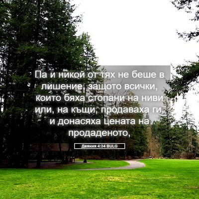 Picture 05 - Деяния 4:34 BULG - Па и никой от тях не беше в - Bible Verse Picture