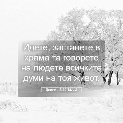 Picture 05 - Деяния 5:20 BULG - Идете, застанете в храма та - Bible Verse Picture