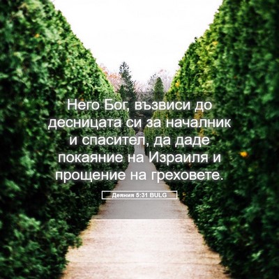 Picture 05 - Деяния 5:31 BULG - Него Бог, възвиси до - Bible Verse Picture