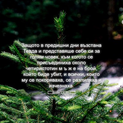 Picture 05 - Деяния 5:36 BULG - Защото в предишни дни - Bible Verse Picture