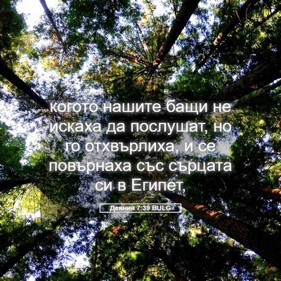 Picture 05 - Деяния 7:39 BULG - когото нашите бащи не - Bible Verse Picture