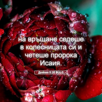 Picture 05 - Деяния 8:28 BULG - на връщане седеше в - Bible Verse Picture