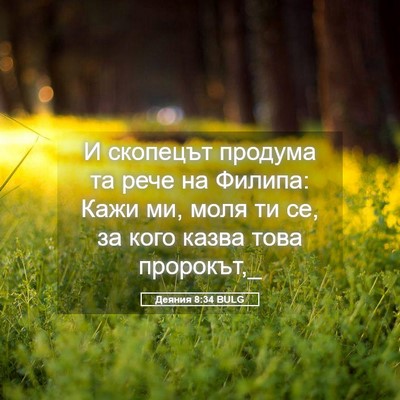 Picture 05 - Деяния 8:34 BULG - И скопецът продума та рече - Bible Verse Picture