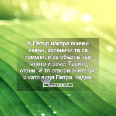 Picture 05 - Деяния 9:40 BULG - А Петър изкара всички - Bible Verse Picture