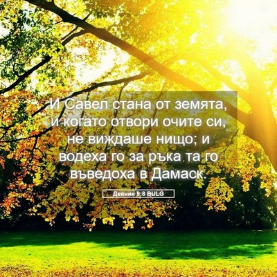 Picture 05 - Деяния 9:8 BULG - И Савел стана от земята, и - Bible Verse Picture