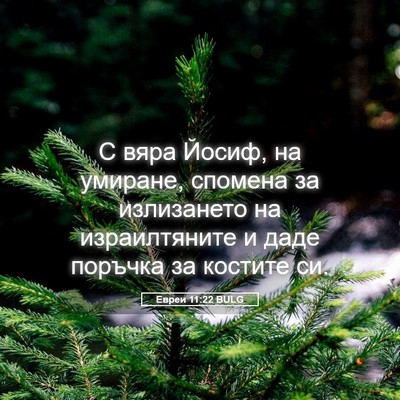 Picture 05 - Евреи 11:22 BULG - С вяра Йосиф, на умиране, - Bible Verse Picture