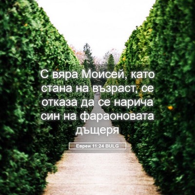 Picture 05 - Евреи 11:24 BULG - С вяра Моисей, като стана - Bible Verse Picture