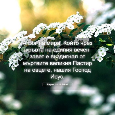 Picture 05 - Евреи 13:20 BULG - А Бог на мира, Който чрез - Bible Verse Picture
